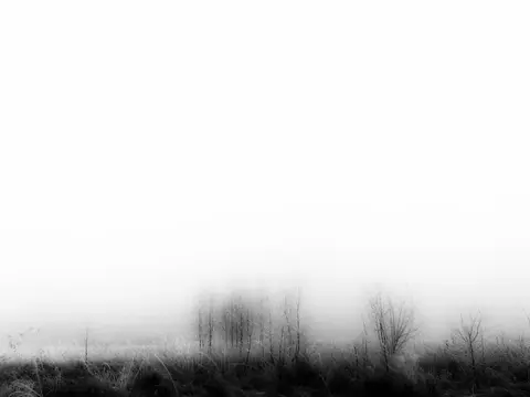 Žiema – 29